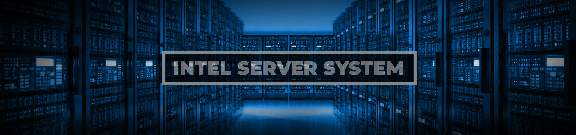 Intel Server System