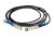 Intel Ethernet SFP28 Twinaxial Cable 3M